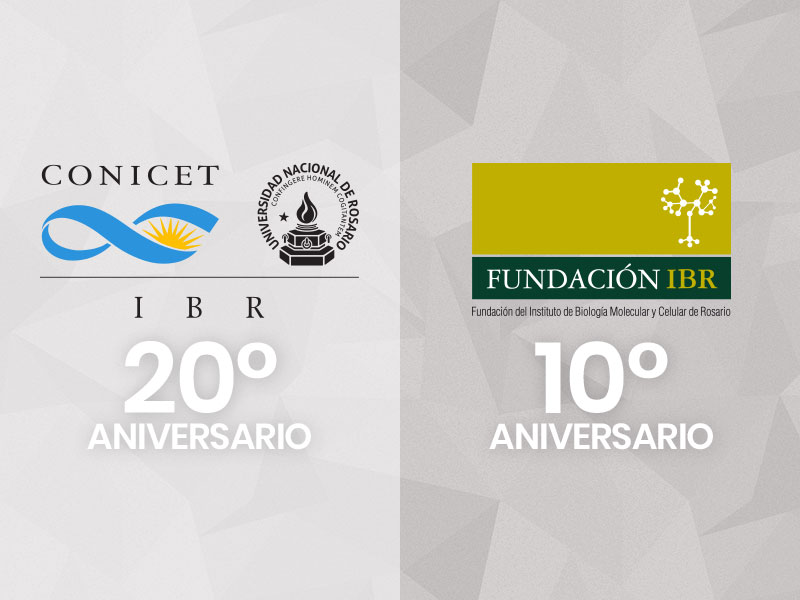 Aniversarios de IBR y Fundación IBR